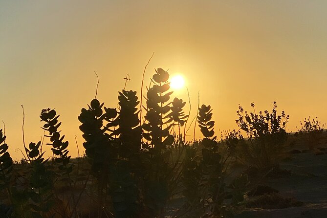 2-Day Overnight Desert Experience - Shisr and the story of Ubar