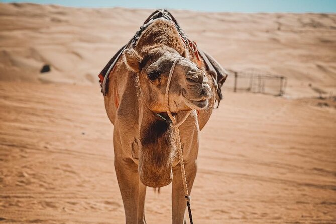 2-Day Private Wahiba Sands Desert Camping Tour from Muscat - Wadi Tiwi’s green village stop