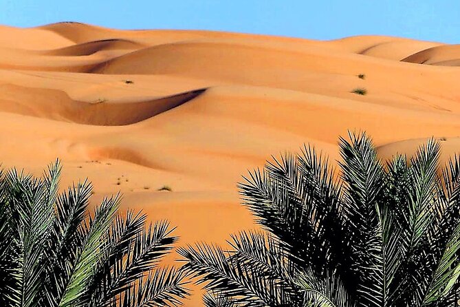 2-Day Private Wahiba Sands Desert Camping Tour from Muscat - Entering Wahiba Sands by 4WD