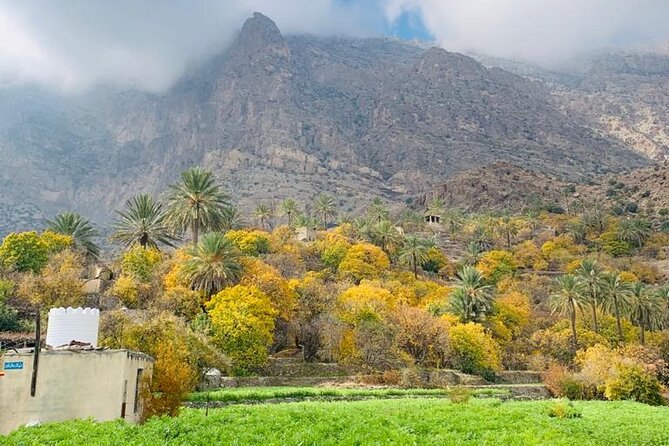 2 Days 1 Night Wakan Private Tour - Bait Al Ghasham Museum and Wadi Al Abyad