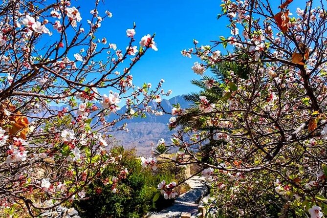 2 Days 1 Nights Private Trip to Wakan - Why this two-day route works from Muscat