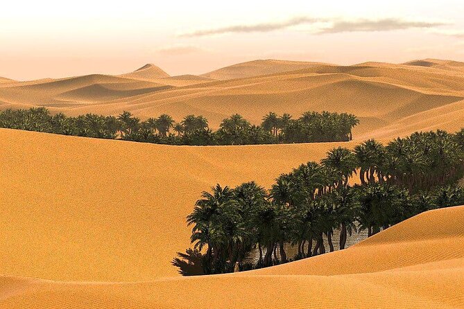 2 Days and 1 Night Private Wahiba Sands Desert Tour - Ibra gives the second day a local focus