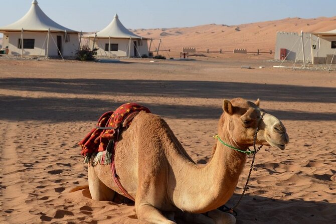 2 Days Desert Adventure Package - Nizwa Fort and Souq: the cultural start