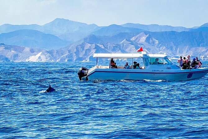 2 Hour Dolphin Watching Experience in Muscat - Is $49.99 a fair price?