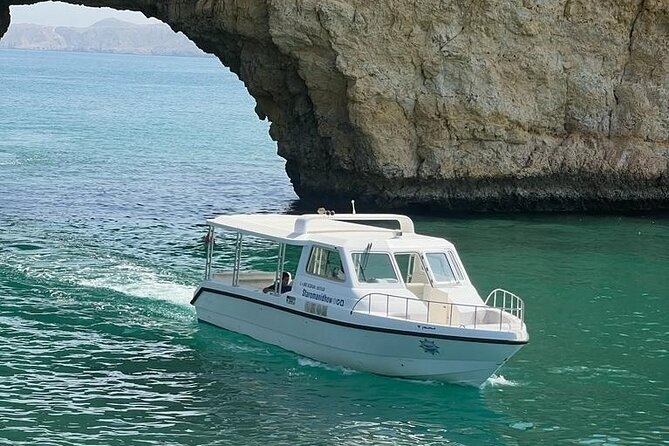 2 Hours Dolphin Watching Cruise in Muscat - Is $55 good value?