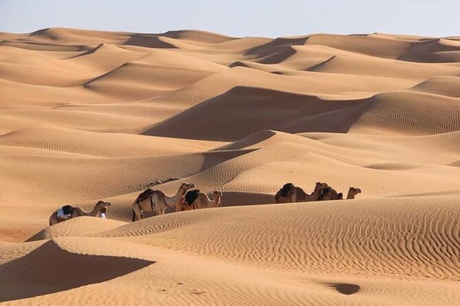 3-Days Private Tour in Oman with Pick Up - Who Will Enjoy This Tour Most?