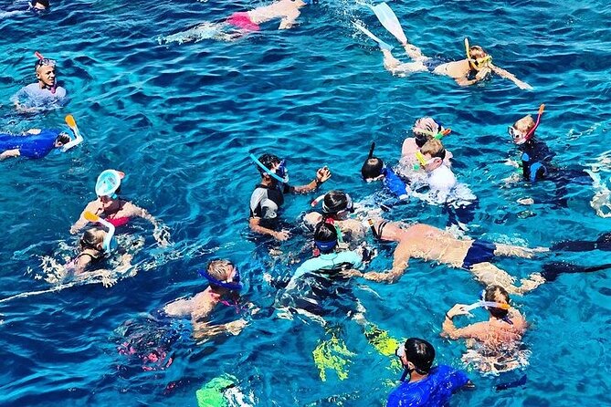 3 Hour Snorkeling and Dolphin Watching Experience in Muscat - Key points to know before you book
