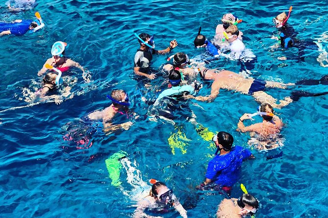 3-Hr Private Snorkeling and Dolphin Watching Tour at Muscat - The Best Fit for Different Types of Visitors