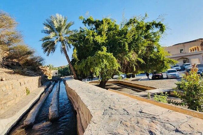 4 Days 3 Nights Package Oman Private Tour - The guide and vehicle make the difference