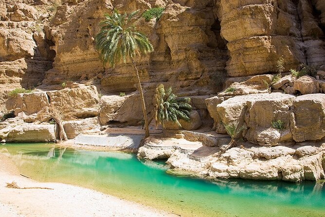5 Days Jewels Of Oman Package - Day Three: Nizwa Fort, Souq, and Oman’s Interior