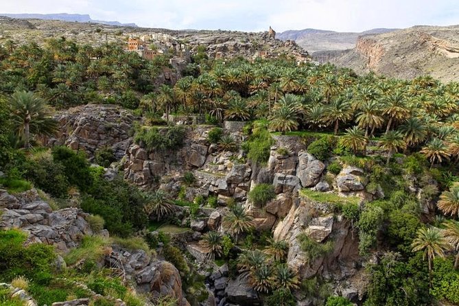 5 Days Package TOUR DINA - Day 5: The rough road through Wadi Bani Awf