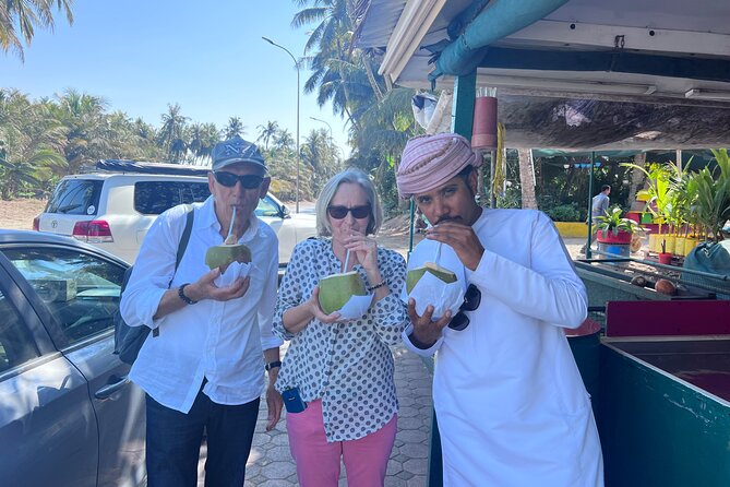 5 Hours of Salalah City Best | Private Tour - Who will get the most from this Salalah tour?