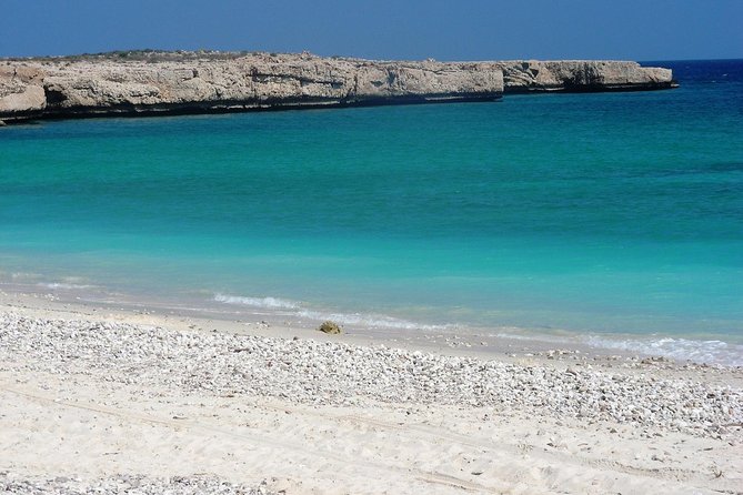 6-Day Latifa Package Tour - Day 2: Sur, Wadi Bani Khalid, and a night in Wahiba Sands