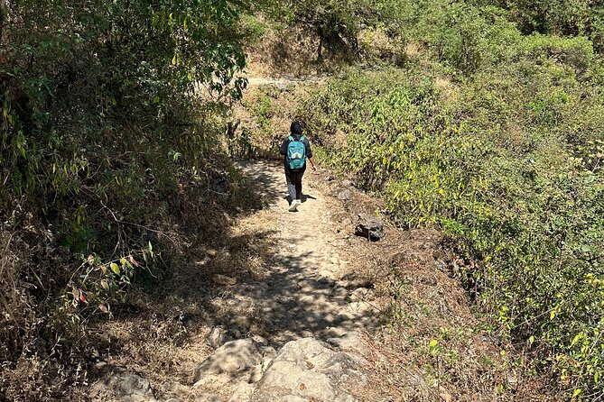 6 Hours Private Hiking in Salalah Mountains - What the private guide adds to the day