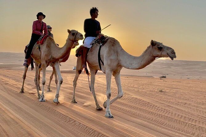 7-8 Hours Private Desert Adventure Trip with Activities - Leaving Muscat at 8:30 am