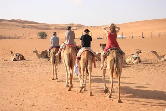 7-8 Hours Private Desert Adventure Trip with Activities - Camel riding and the Bedouin connection