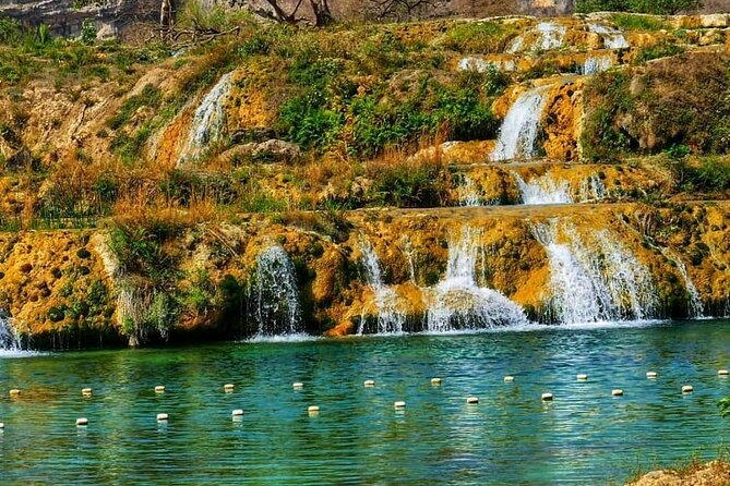 8 Hours of Salalah Best: East & West Private Tour - Wadi Darbat brings green scenery and animals