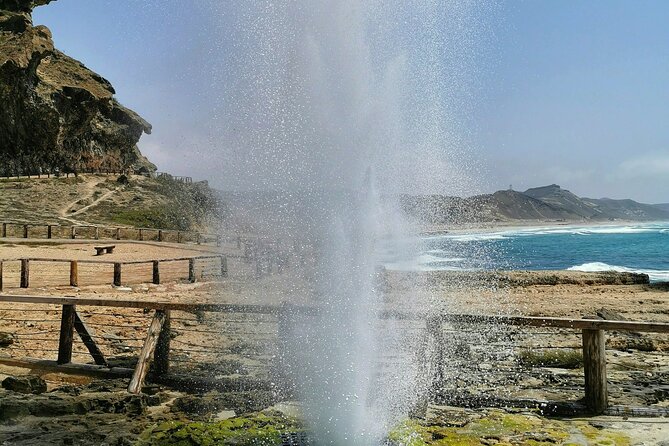 8 Hours of Salalah Best: East & West Private Tour - Wild frankincense trees add meaning to the scenery