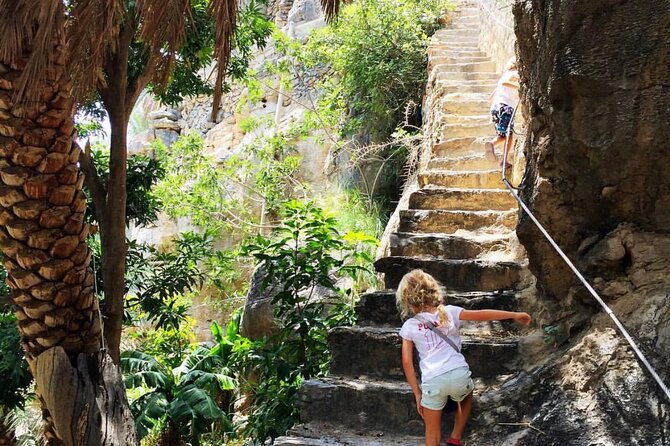 AL HAMRA & JEBEL SHAMS - Muscat, Oman - Who should choose this private day trip?