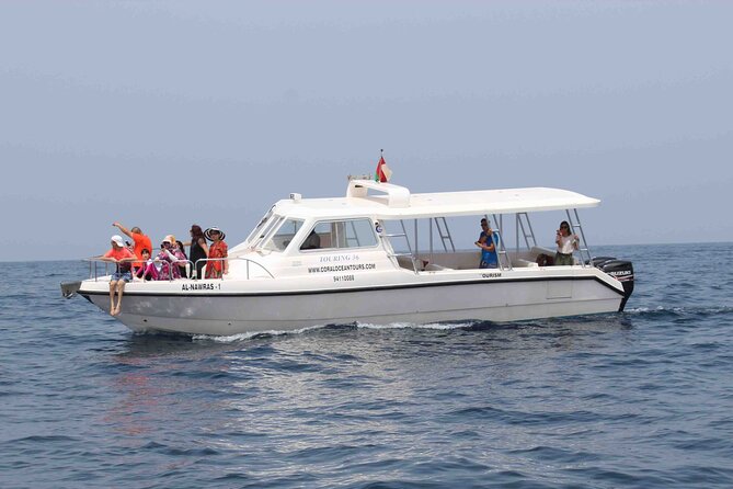 Amazing Dolphin Watching Tour In Muscat - Comfort, facilities, and what to bring