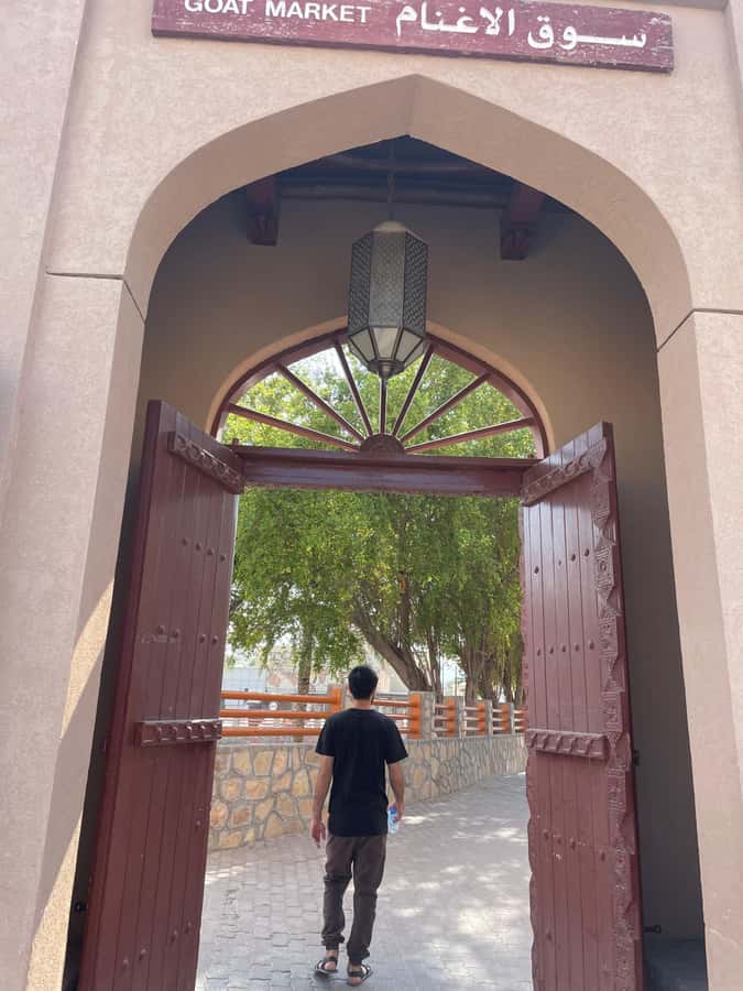 AMOUAGE: Full Day Private Trip to Nizwa and Al Jabal Akhdar - Birkat Al Mouz: irrigation, palms, and old houses