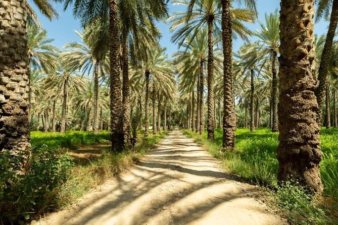 Amouage & Nizwa Full-Day Tour: Fort, Souq & Barakat Al Mouz - Lunch in Nizwa: a useful taste of Oman