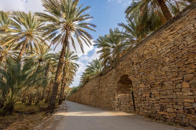 Amouage & Nizwa Full-Day Tour: Fort, Souq & Barakat Al Mouz - What the private vehicle adds