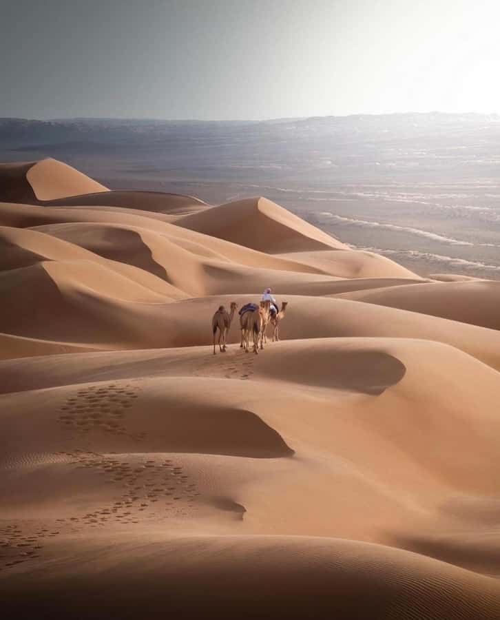 Arabian 1001 Nights - Private Tent Safari Overnight - Ubar, the lost city of the sands