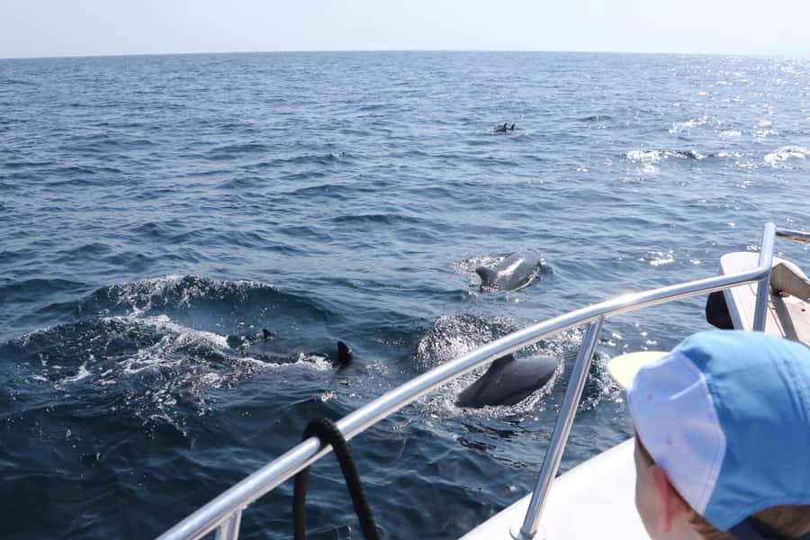 Bandar Al Khayran Jorney: Group Tour with Snorkeling - Leaving Marina Bandar Al Rowdha by speedboat