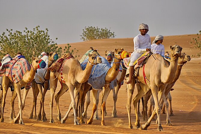 Bediyah: Camel Safari through the Wahiba Sands Desert - What the one-hour camel ride is really like