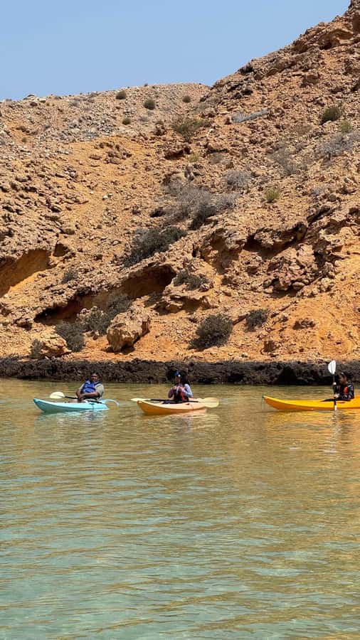 Camping to the Daymaniyat Islands with an overnight stay - Wildlife, turtles, and responsible behavior
