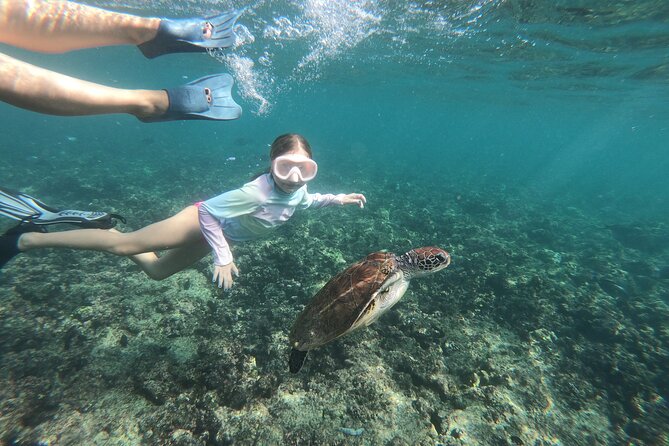 Cruises to Daymaniyat & Snorkeling - Is $108 a fair price?