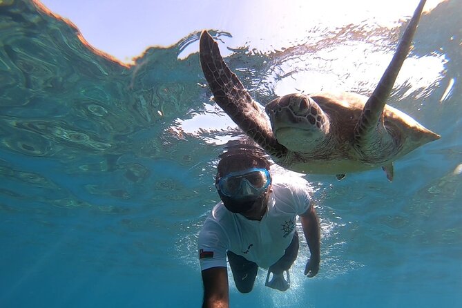 Cruises to Daymaniyat & Snorkeling - Reaching the protected Daymaniyat Islands