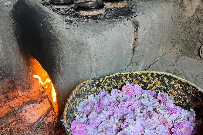 Damascus Roses - Discover the secrets of Al Jabal Al Akhdhar - Why Damascus roses make Jebel Akhdar special