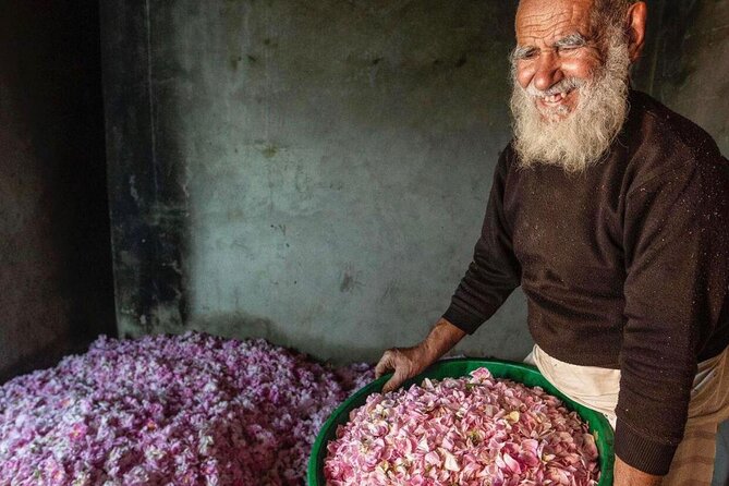 Damascus Roses - Discover the secrets of Al Jabal Al Akhdhar - Fossils, fruit trees, and the walk between villages