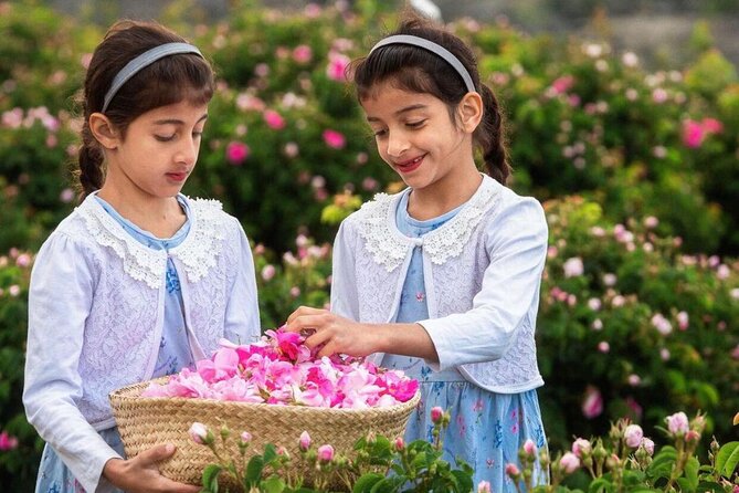Damascus Roses - Discover the secrets of Al Jabal Al Akhdhar - Is $220 per person good value?