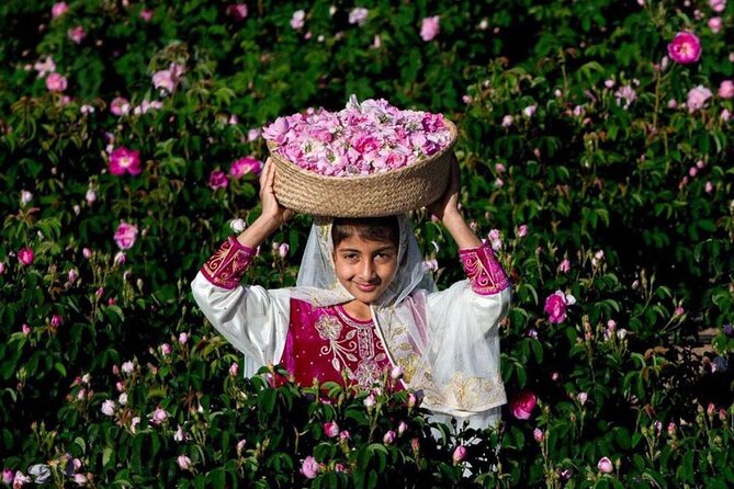 Damascus Roses - Discover the secrets of Al Jabal Al Akhdhar - The 8:00 am pickup and private 4WD ride