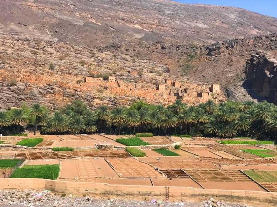 Day Trip to Jabal Shams, Wadi Nakhar, Misfat Al Abriyeen - Key points at a glance