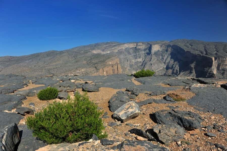 Day Trip to Jabal Shams, Wadi Nakhar, Misfat Al Abriyeen - Wadi Nakhar, the day’s best place to walk