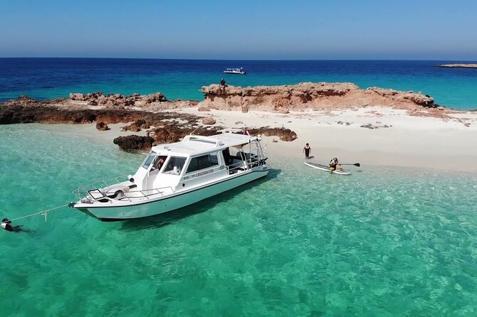 Daymaniyat island Natural Reserve and Dolphin Watching - Searching for Dolphins and Whales in Open Water