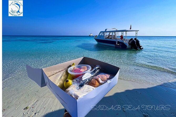 Daymaniyat island Natural Reserve and Dolphin Watching - A Short Boat Tour Around the Islands