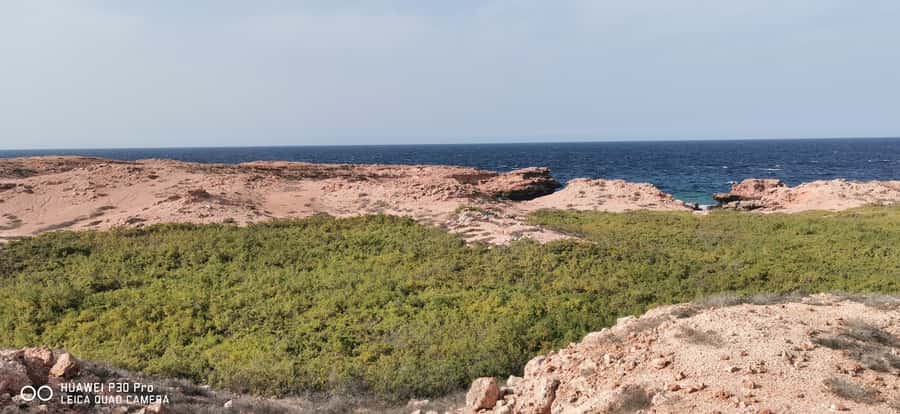 Daymaniyat Island: Snorkelling Tour with Tasty Lunch - Snacks and lunch between the swims