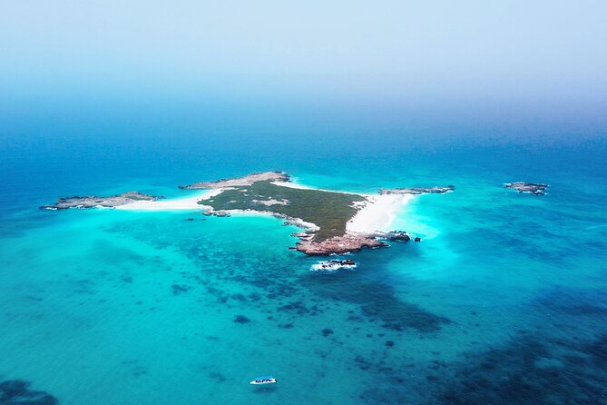 Daymaniyat Islands Oman Sharing Tour - Key points at a glance