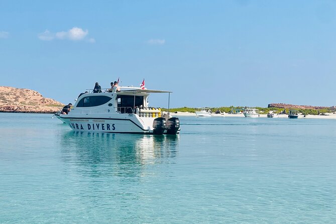 Daymaniyat Islands Snorkeling 2 different snorkeling sites and Lunch included - Key points to know before booking