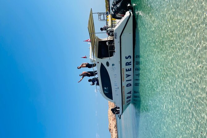 Daymaniyat Islands Snorkeling 2 different snorkeling sites and Lunch included - Leaving Muscat from Al Mouj Marina at 8 a.m.