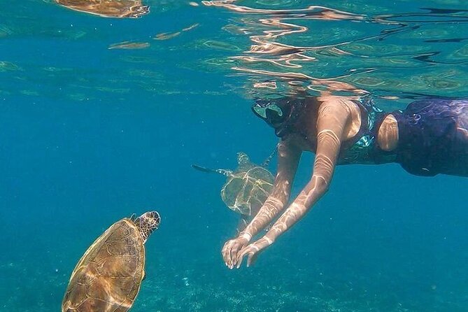 Daymaniyat Islands Snorkeling Half-Day Tour - Key points to know before booking