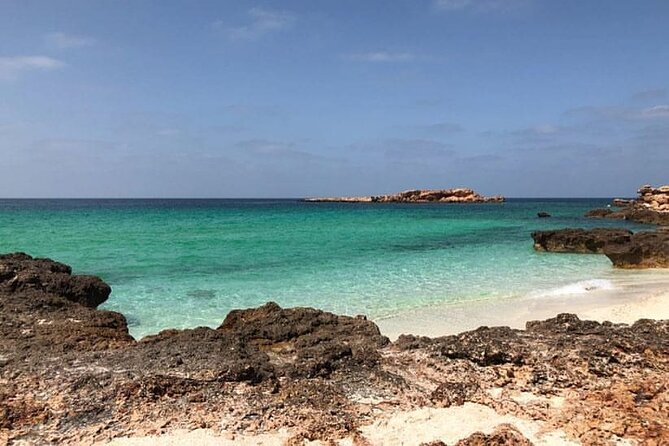 Daymaniyat Islands Snorkeling Half-Day Tour - Leaving Muscat from Al Mouj Marina