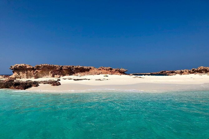 Daymaniyat Islands Snorkeling Half-Day Tour - Turtle encounters around the islands