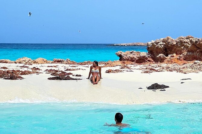 Daymaniyat Islands Snorkeling Half-Day Tour - Whale sharks, dolphins, and the luck factor