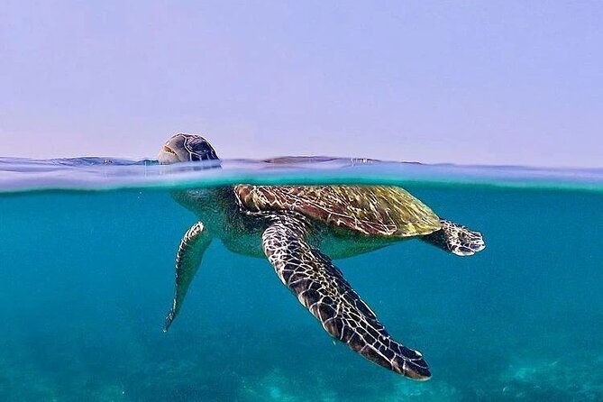 Daymaniyat Islands Snorkeling Half-Day Tour - Beaches, kayaks, and the slower side of the trip